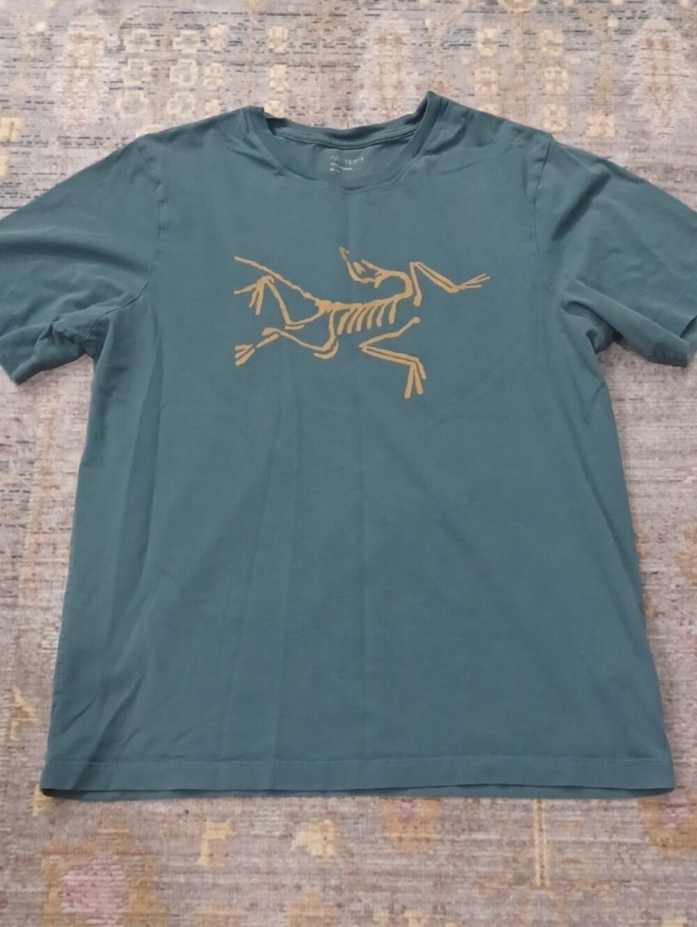 Arc'teryx Archaeopteryx Graphic Tee